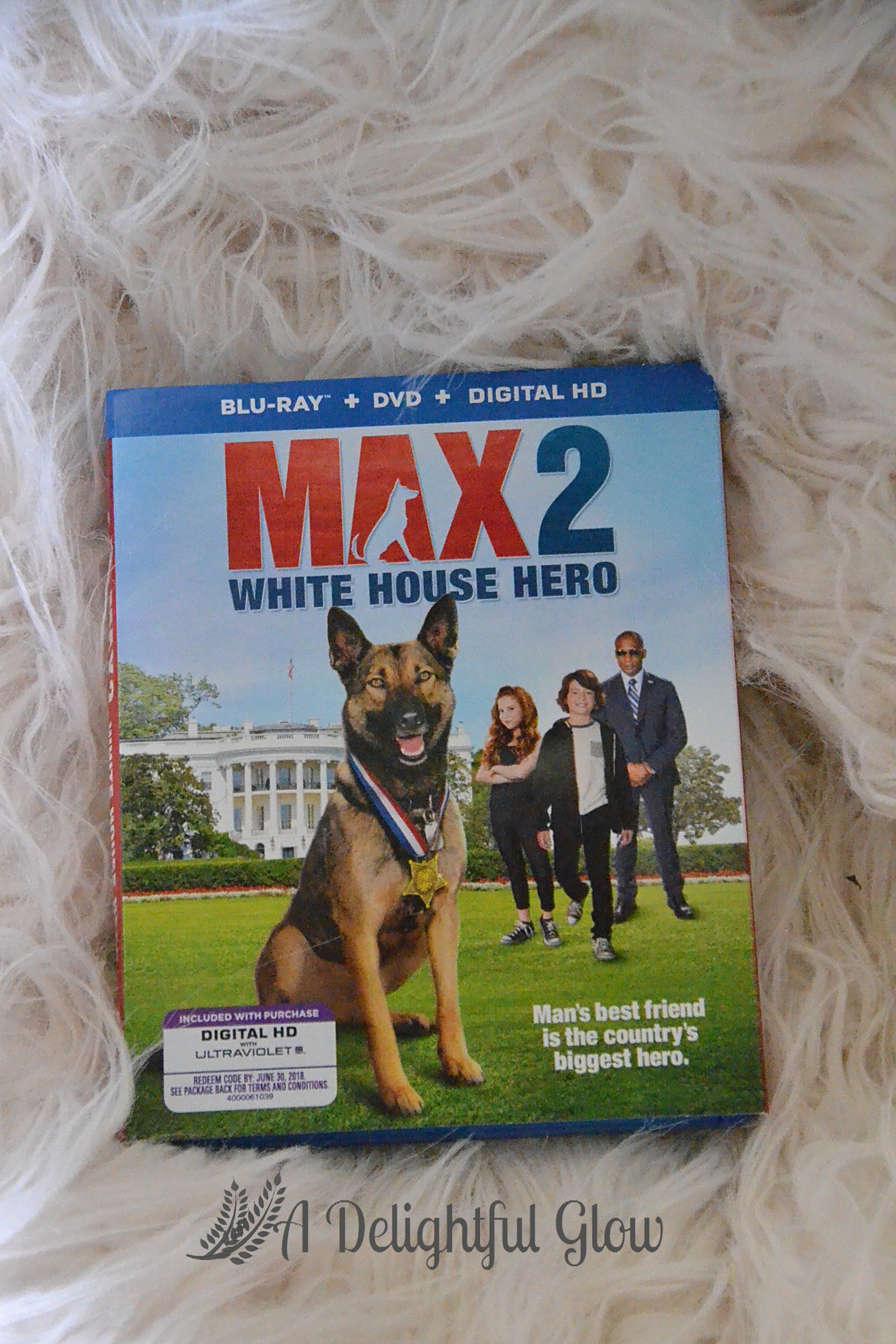 2017 Max 2: White House Hero 2017 Max 2: White House Hero